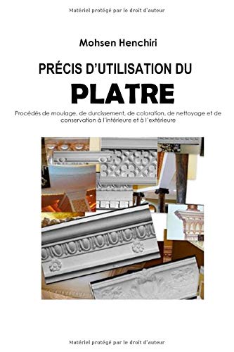 Télécharger Précis d'utilisation du plâtre Procédés de moulage, de durcissement, de coloration, de nettoyage Livre eBook France