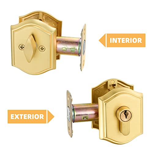 Clctk Single Cylinder Deadbolt Keyed 1 Side, Satin Brass Finish #TOP1
