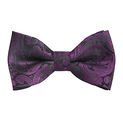 Alizeal Boys Adjustable Fashion Paisley Floral Strapped Pre-tied Kids Bow Tie (Eggplant)
