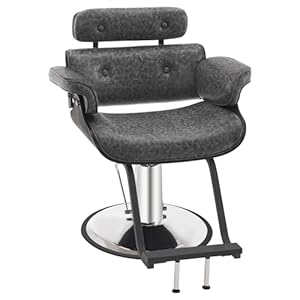 BarberPub Bend Wooden Salon Chair Hydraulic Barber Chair Hair Cutting Beauty Spa Styling Equipment 8261(Dark Grey)