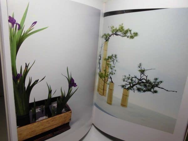 【中古】 未生流 瓶花・盛花　春／夏/主婦の友社/肥原俊樹 楽天市場】未生流の通販