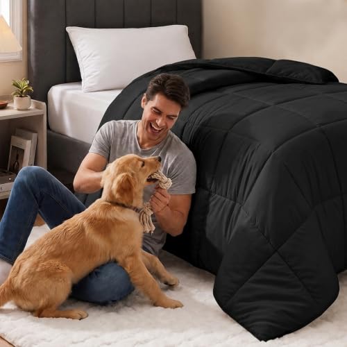 Image of Utopia Bedding Twin Comforter, Duvet Insert, Black, 64 x 88 Inches