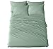 Queen Bed Sheets | Microfiber Bed Sheet Set | Wrinkle Resistant & Fade Stain Resistant | Set of 4 Pieces – 1 Flat Sheet, 1 Deep Pocket Fitted Sheet, 2 Pillowcases - Queen, Light Green