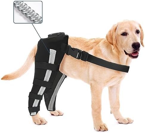 Image of Double Dog Knee Brace for Torn Acl Hind Leg, Double Dog Leg Sleeve,Acl Brace For Dogs Rear Leg for Support, Built-In Hard Metal Spring Support, Outer Night Reflective Strip, Adjustable Strap (Large)