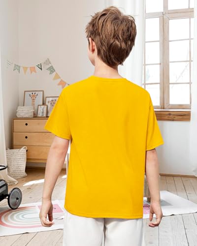 Boys T Shirts, Toddler Boys Graphic Tees, Boy Short Sleeve Tee Shirts Tops for 3-8 Years Kids4