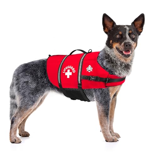 Best Life Jacket for Dogs Reviews 2021