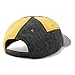 Smartwool Merino Wool Lined Patchwork Ball Cap for Men and Women, Honey Gold, One Size