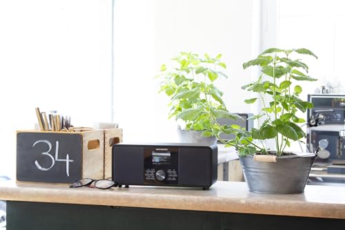 KATHREIN DAB+ link S12 – DAB+/Internetradio (Stereo, 2 × 15 Watt, Bluetooth Audio Streaming & Sendefunktion, Streamingdienste wie Deezer, Tidal etc., USB-Aufnahme, App-Steuerung) – Schwarz