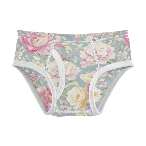Wusikd Peonies Roses Boys' Underwear Cotton Butterflies Boys Briefs Soft Toddler Underwear 2T