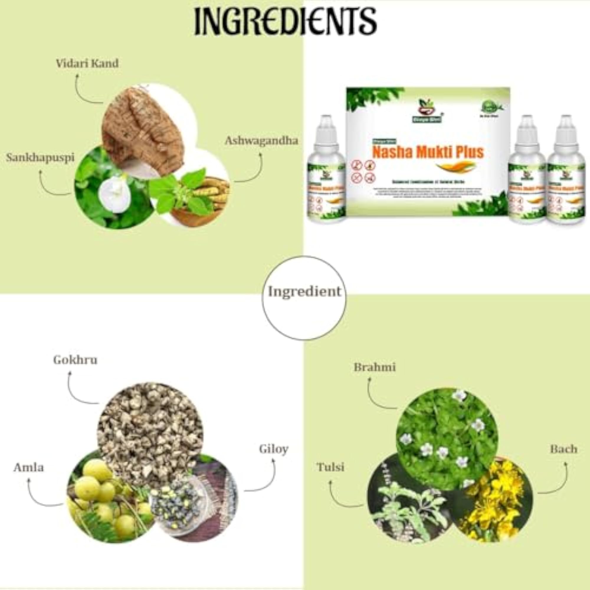 DIVYA SHRI Nasha Mukti Plus Liquid, Ayurvedic Solution