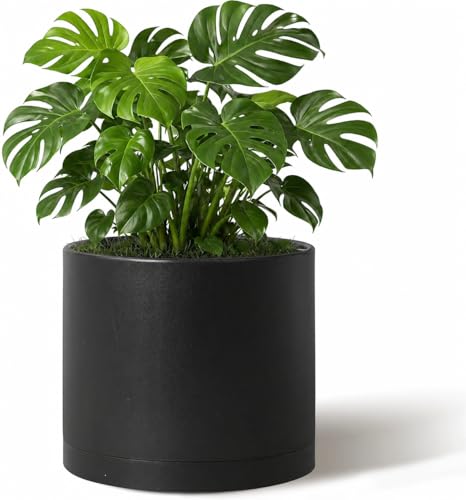 Giraffe Creation 10-Inch Round Cylinder Plant Pot, Modern Indoor/Outdoor Planter with Drainage Hole, Saucer & Water Reservoir, Black