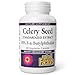 Natural Factors, Celery Seed Extract, Supports a Healthy Circulatory System, 60 capsules (60 servings)