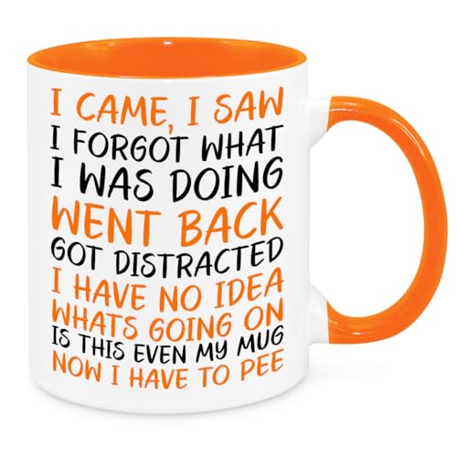 I Came I Saw I Forgot Mug - Funny Novelty Gift Silly Present Mugs for Women Birthday Christmas for Mum Dad Friend Sister for Men Colleague Secret Santa Work Quotes (Orange)