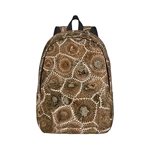Sac à dos voyage et sport Petoskey Stone pour vos sorties et cours