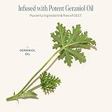 Cliganic 10 Pack Mosquito Repellent Bracelets, DEET-Free Bands, Individually Wrapped - Image 5