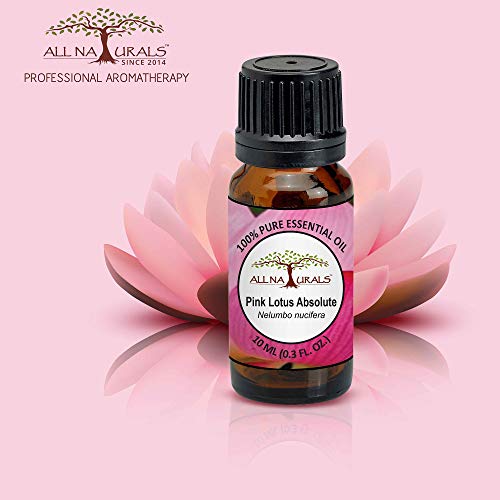 Image of All Naturals Pink Lotus Absolute Essential Oil (Kerala) 100% Pure, Lasting Exotic Floral Aroma For Natural Perfumes, Massage Oils, Attars, Diy Skincare & Diffusers - 10 Ml|N-Hexane Extracted