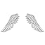 Silver Angel Wings