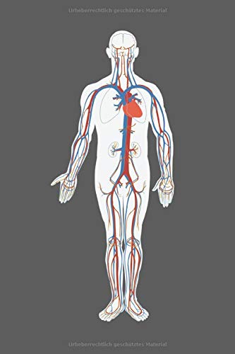 Best Chiropractic For Dummies