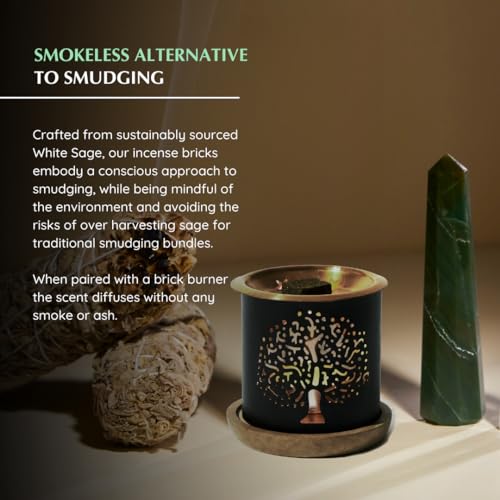 Image of Californian White Sage Smokeless Incense Bricks by Aromafume | 3 Trays x 9 Bricks | Refill Pack | Sage Incense for Positivity, Festive Gift | Sage Leave Extracts for Cleasing Home