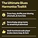 100 Authentic Blues Harmonica Licks Steve Cohen | Harmonica Instructional Book with Online Audio | Learn Blues Harmonica Techniques, Solos, and Riffs | Beginner to Advanced Sheet Music Songbook