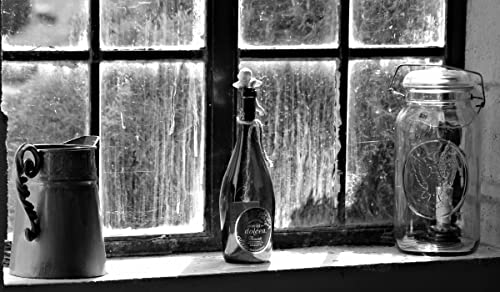 Window Sill Still Life (b&w)/ Moody Image of Antiques & Collectibles Shop/Fine Art Photography Print