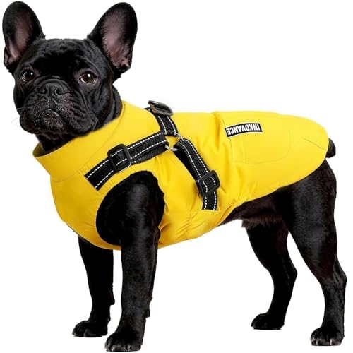 Flow fire Warm Winter Dog Coat with Harness Built in Waterproof Dog Jacket for Small Dogs XL(L)