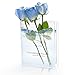 Produktbild Buch Vase, Teklemon Acryl Büchervase Transparente Vase Für Blumen Tulpenvase, Klare Transparente Tulpenvase, Bücherregal Dekoration für Blumenarrangements, Mittelstücke und Heimdekoration