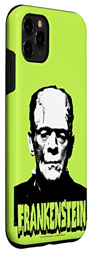 Iphone 11 Pro Max Universal Monsters Frankenstein Portrait Case #TOP2