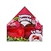 Toymendous Squishy Cherries, Jumbo Sweet Fruit Stress Toy, Twin Cherry Fidget Fun, 5.5 Inch Squishy Fruit, Fidget Sensory Food, Jumbo Strss Relief Toy or Kids & Adults, Easter Basket Stuffer