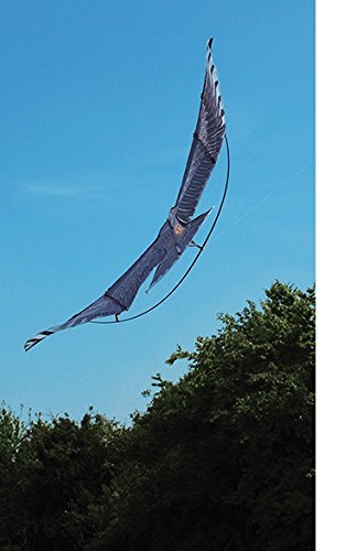 The Big Cheese Hawk Kite Bird Deterrent