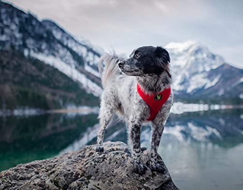 Image of Classic Dog Harness Innovative Mesh No Pull No Choke Design Soft Double Padded Breathable Vest for Eco-Friendly Easy Control Walking for Large Puppies Full Size Breeds & Extra Large Dogs (XL, Red)
