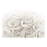 Bilderwelten Carta da parati - Rose bianche - Fotomurale carta da parati larga carta da parati tessuto non tessuto tappezzeria carta da parati moderna 3D parati di design, Dimensione AxL: 290cm x 432cm