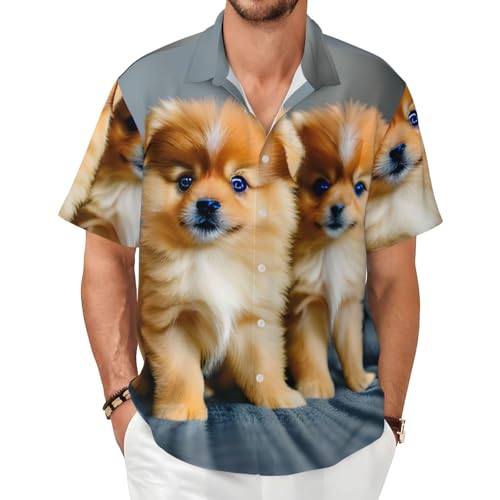 Chemise manches courtes homme été confortable imprimé Poméranie