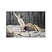 Produktbild Samson and Delilah Max Liebermann Maler-Poster, Leinwand, Wandkunst, Poster, dekorativ, modern, Heimdruck, Bild, Kunstwerke, Poster, 20 x 30 cm