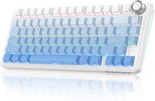 VidaTeco Clavier MéCanique sans Fil K75 pour Gamers, Disposition 75% avec Molette Et Fixation Gasekt, RGB, RemplaçAble à Chaud, Batterie 8000 Mah, Bluetooth/2,4 Ghz, Disposition QWERTY (K75 8000mAh)
