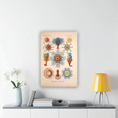 Cadre vintage créature marine grand format chambre