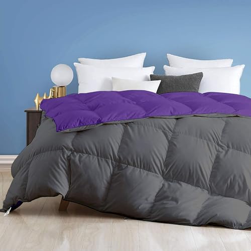 Image of Day Care - 400 GSM Hotel Quality-Down Alternative Reversible Comforter (90 inch x 90 inch Inches /228cm x 228cm) - Comforter Queen Size|Purple /Dark Grey
