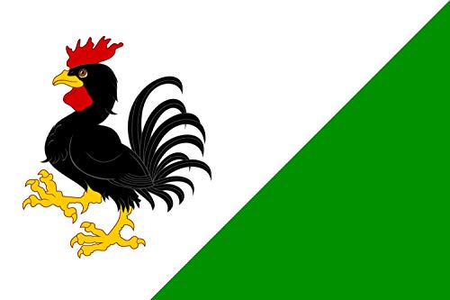 Drapeau Large Vyšehněvice grand format pour mât extérieur