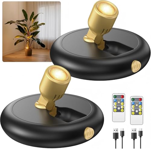 picture lights indoor