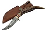 Szco Supplies Damascus Stag Tip Knife