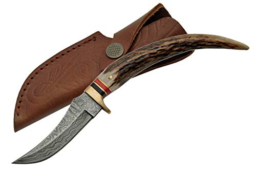 SZCO Supplies Damascus 8