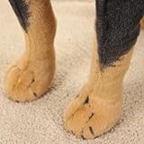 champracer Simuliertes Tier Hund Plüschtier lebensechter Rottweiler-Welpe Plüsch Stoffhund Plush Toy Stehend Schwarzer Hund Stofftier Spielzeug Geschenke für Jungen Mädchen (38cm)