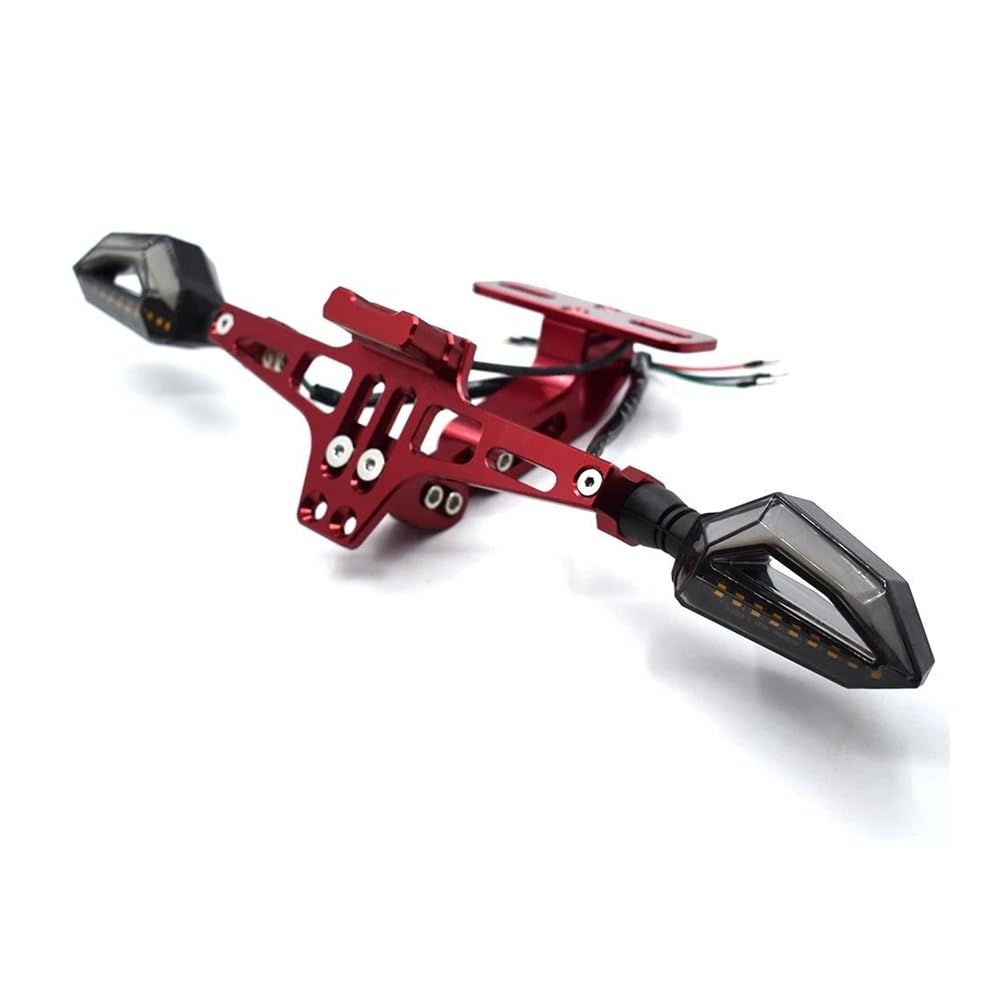 DDGBERFP Motorcycle License Plate Bracket CNC Aluminum Alloy With Light For R1200R R1200GS F800GS F650GS F700GS F800R G450X G650 G310R(Red)