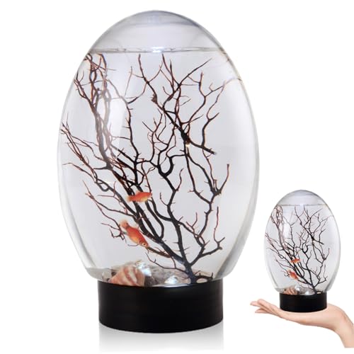 Mini Fish Tank, Small Desktop Aquarium with LED Light, Self Sustaining Ecosystem, No Need to Feed or Change Water Closed Aquatic Ecosystem for Home Office Ecosphere Shrimp Ecosphere