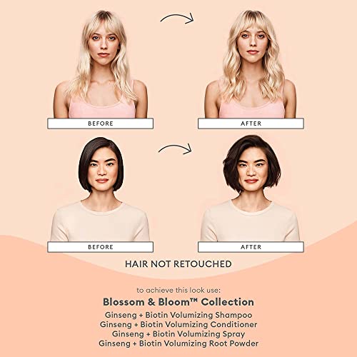 Briogeo Blossom And Bloom Volumizing Set #TOP2