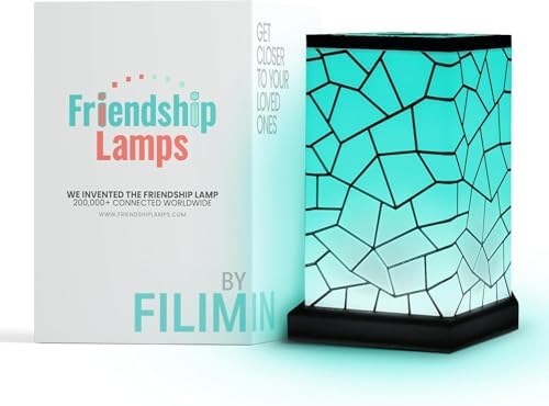 Friendship Lamp