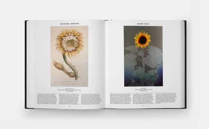Plant: Exploring the Botanical World, Compact Format (Spanish Edition)
