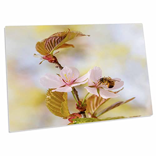 3dRose Bee sobre flor Sakura rosa. Alfombrilla de escritorio