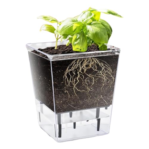 Macetas de riego automático para plantas de interior, maceta autoirrigada - Maceta transparente de 5,9 pulgadas - Jarrón doméstico con depósito profundo, macetas decorativas para Ros