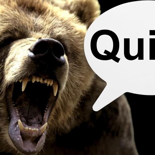 Vicious Bear Attack! cover art